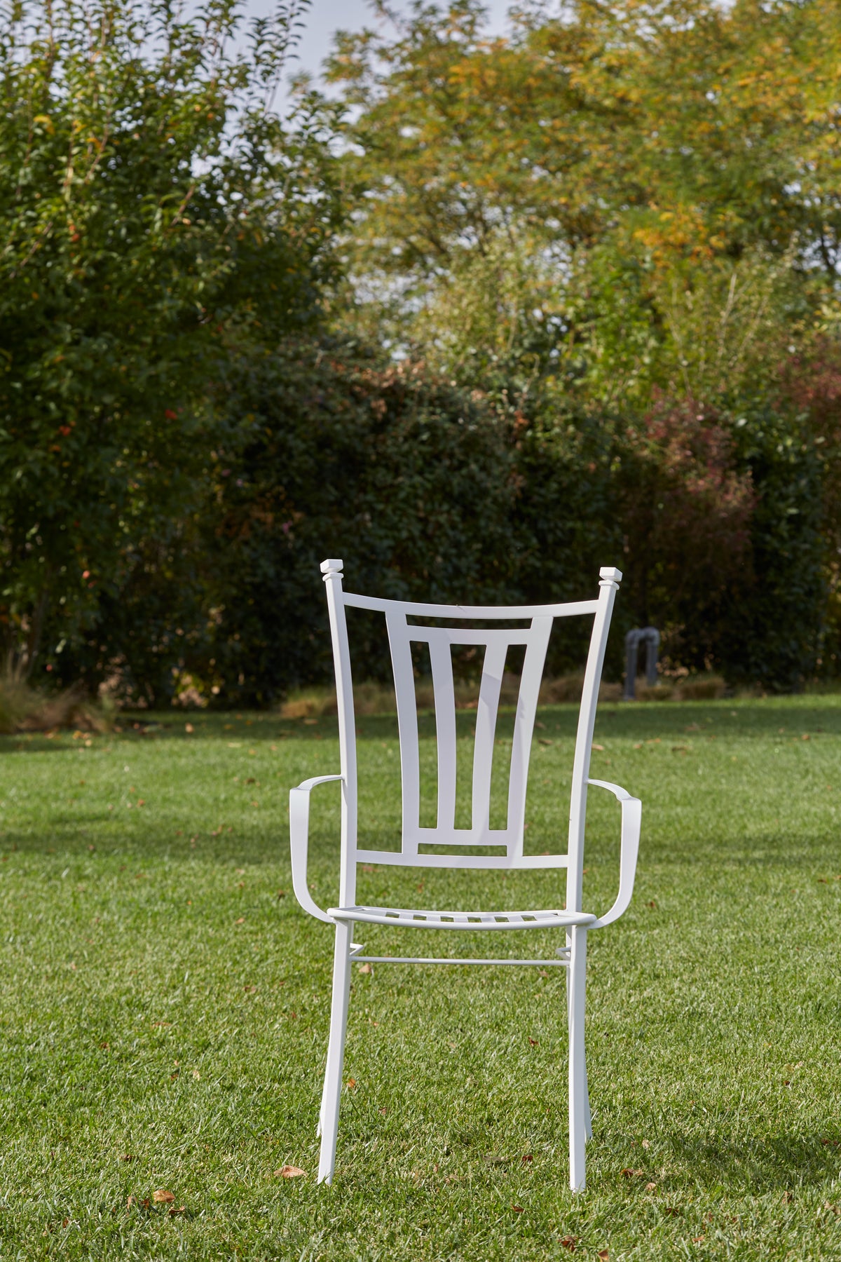 Domiziani Aurora Outdoor Dining Chair & Armchair