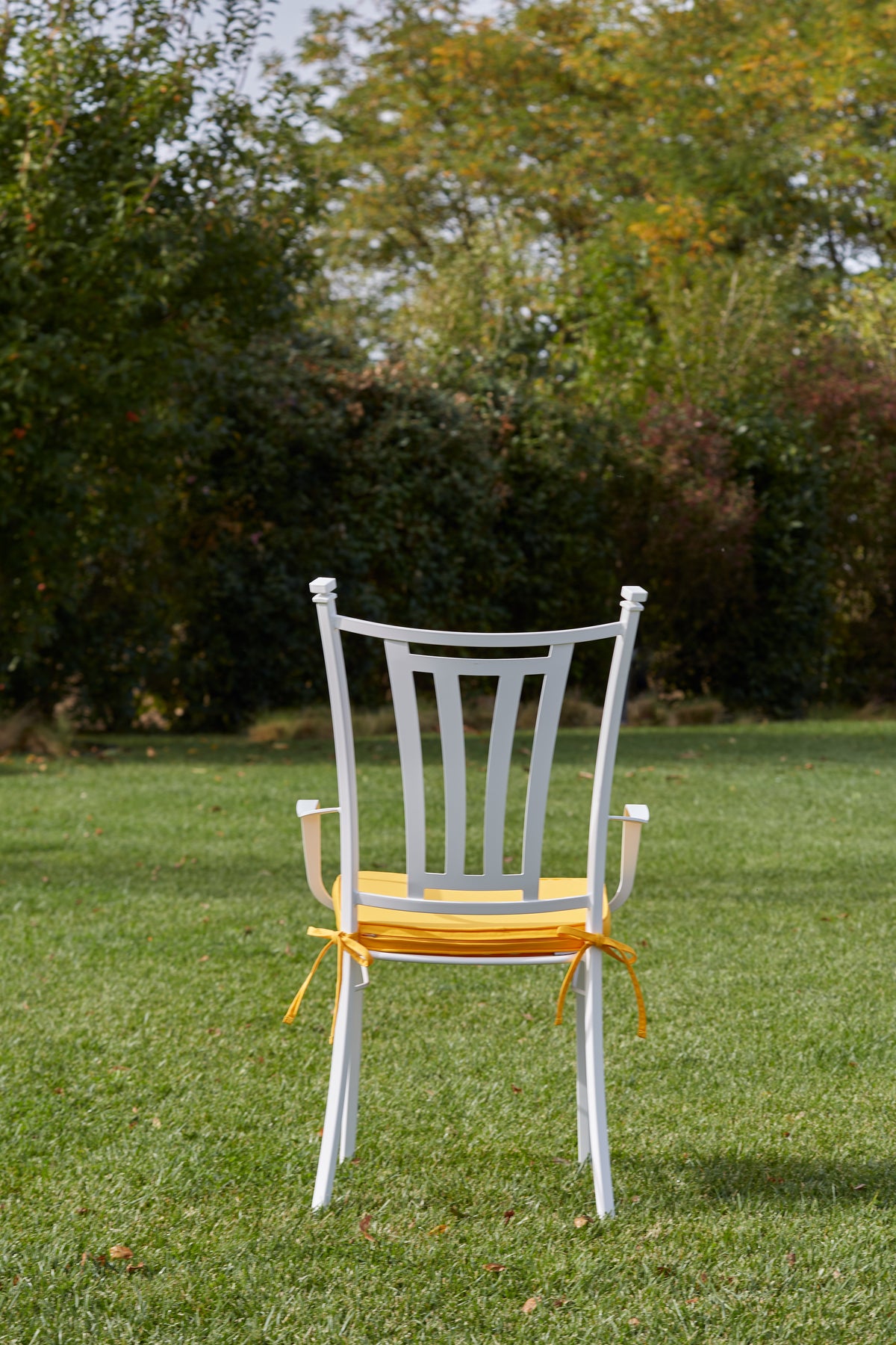Domiziani Aurora Outdoor Dining Chair & Armchair