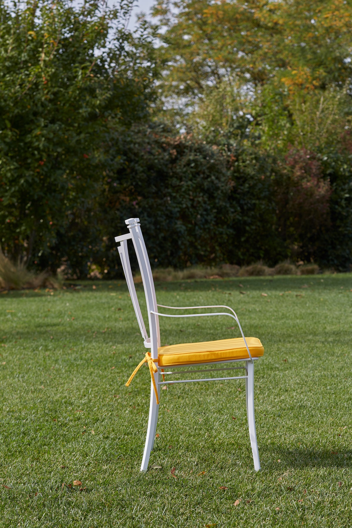 Domiziani Aurora Outdoor Dining Chair & Armchair