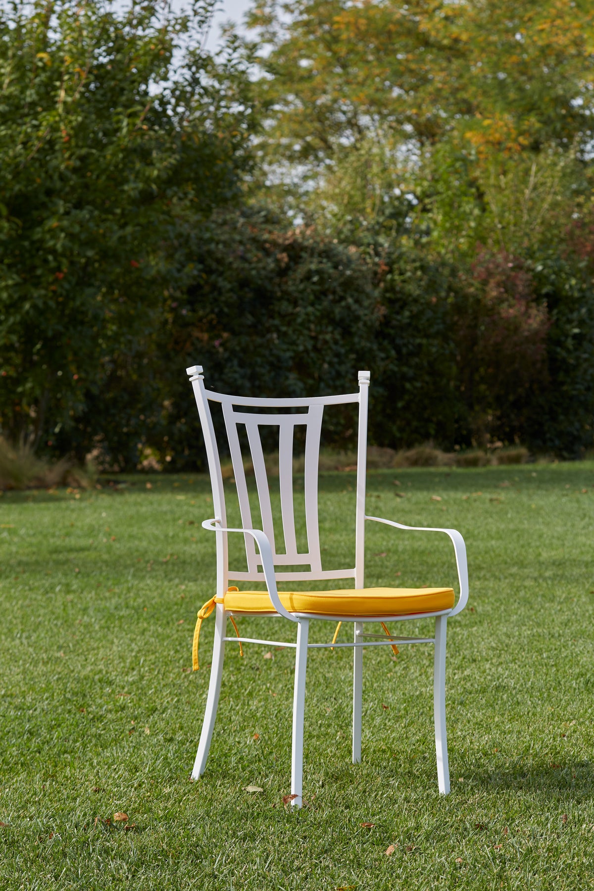 Domiziani Aurora Outdoor Dining Chair & Armchair