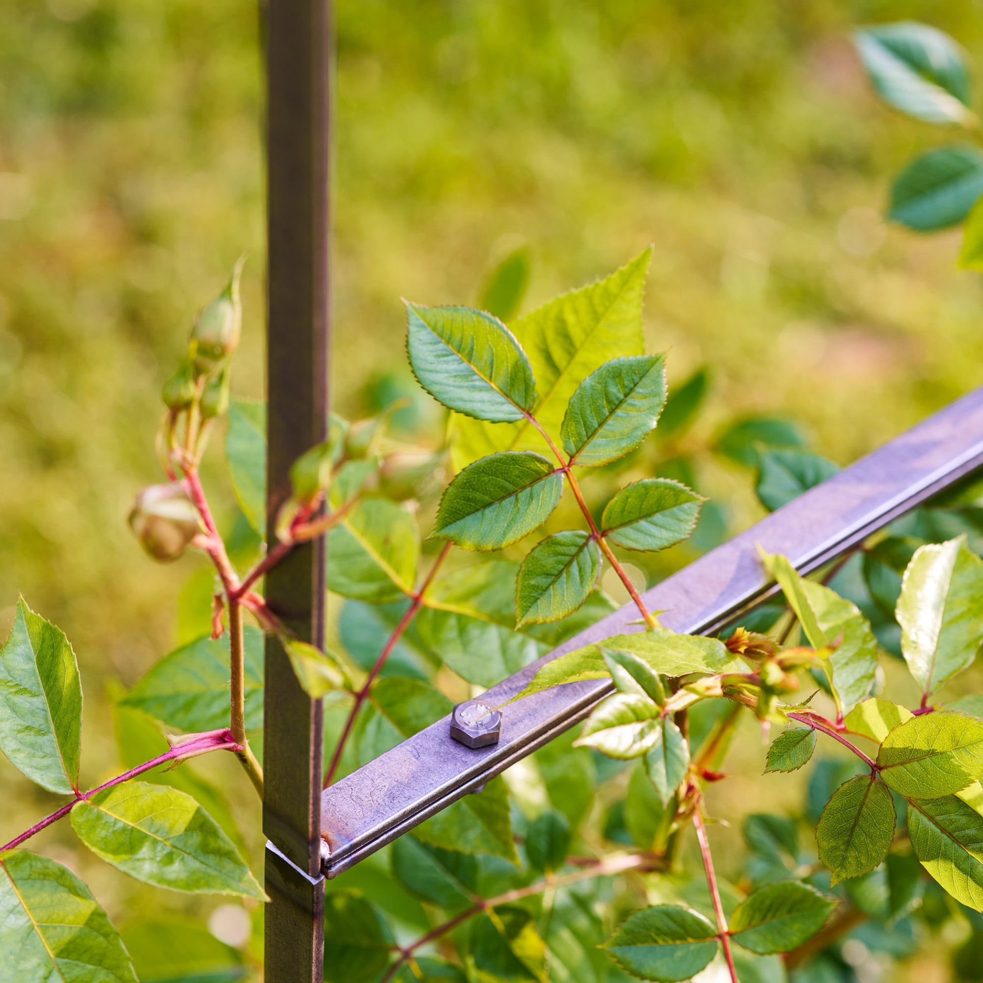 Farringdon Rose Arch – Raw Metal