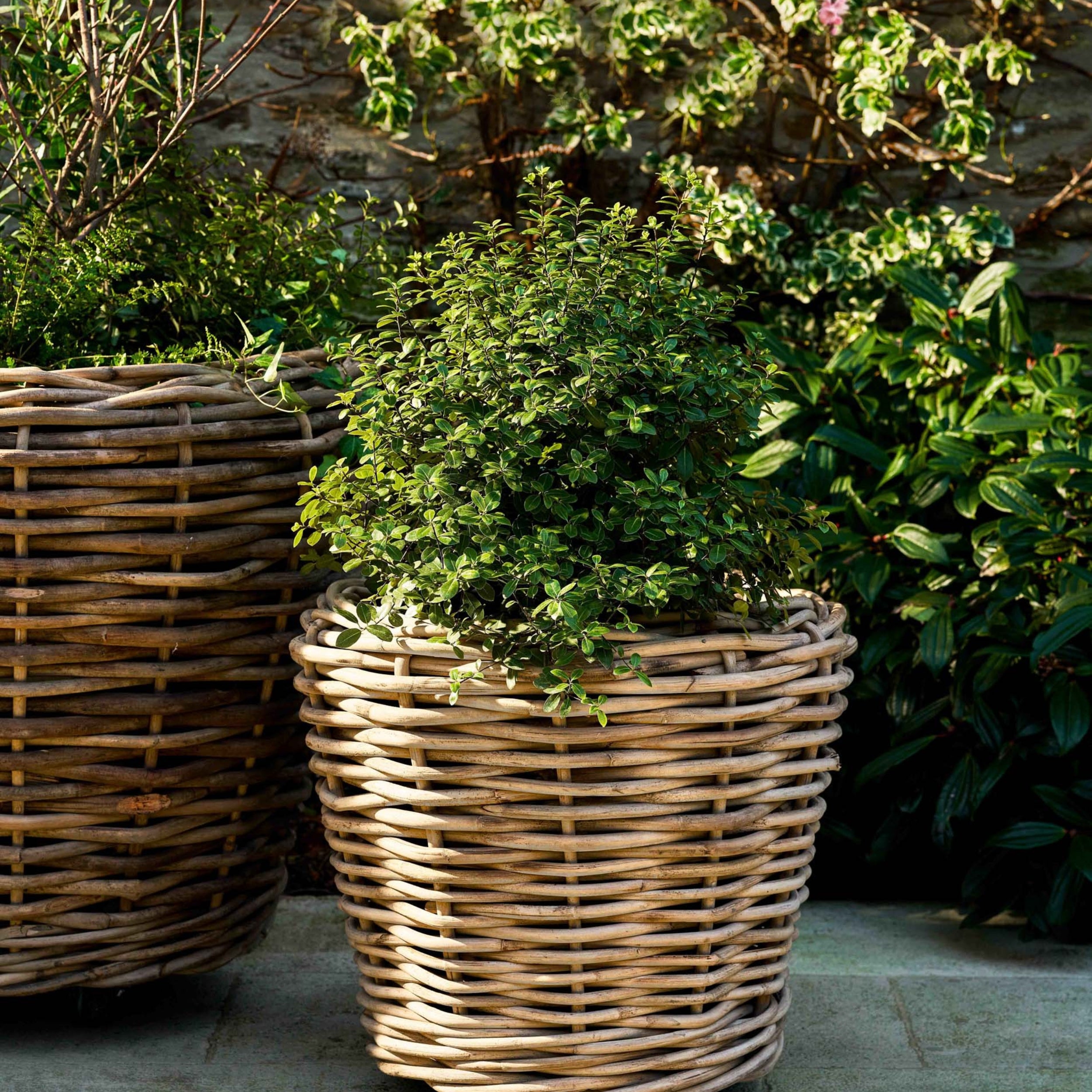 Elmhurst Rattan Planter on Wheels – Large, 58cm