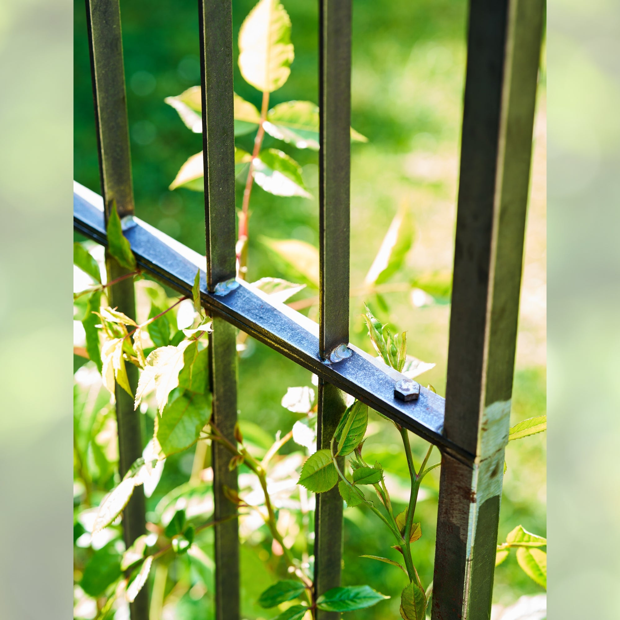 Farringdon Domed Rose Arch – Raw Metal