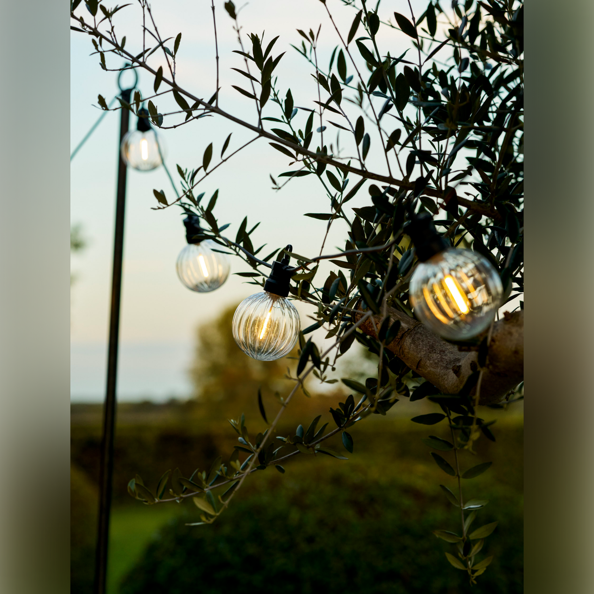 Festoon Ribbed Round Lights, 20 Bulbs – Black