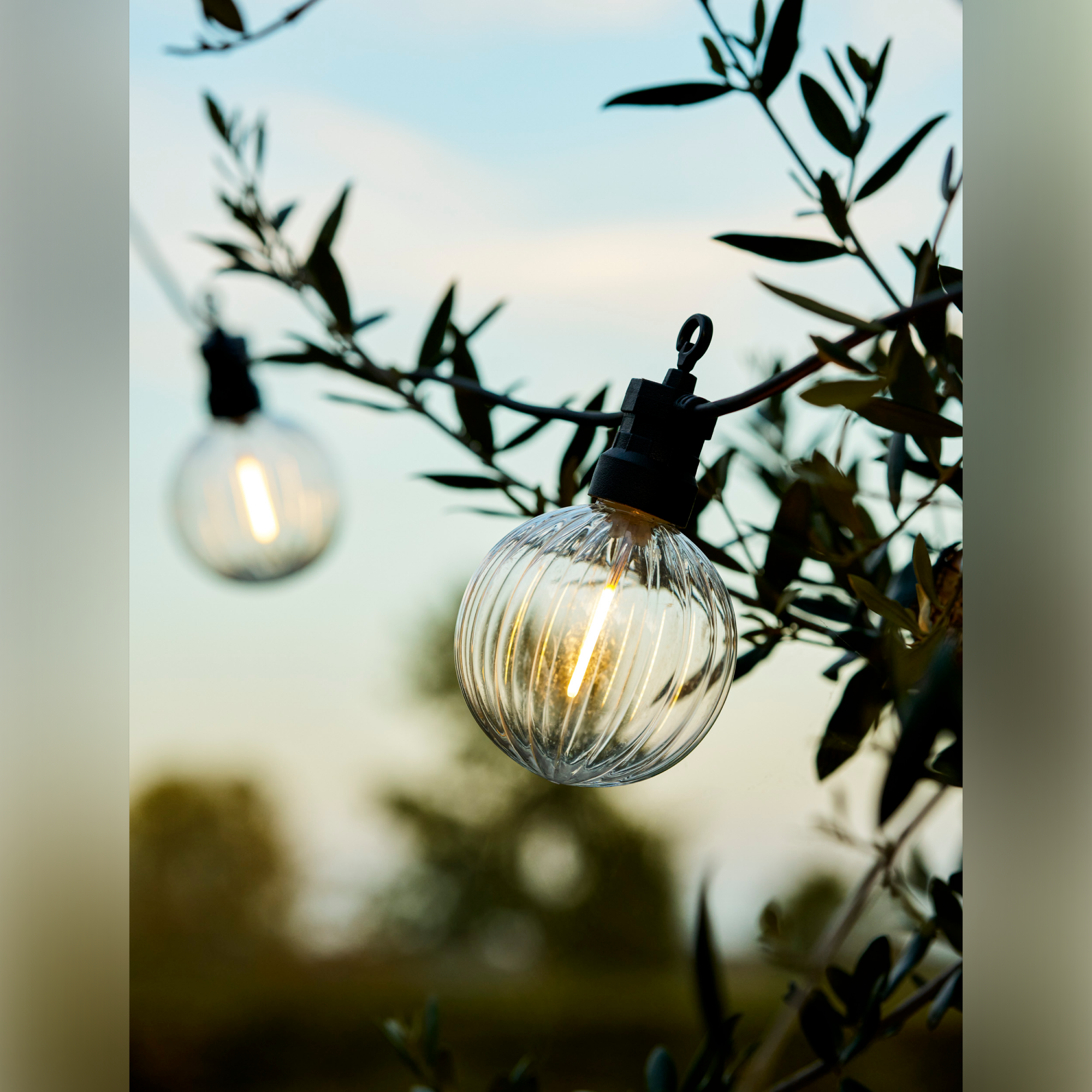 Festoon Ribbed Round Lights, 20 Bulbs – Black