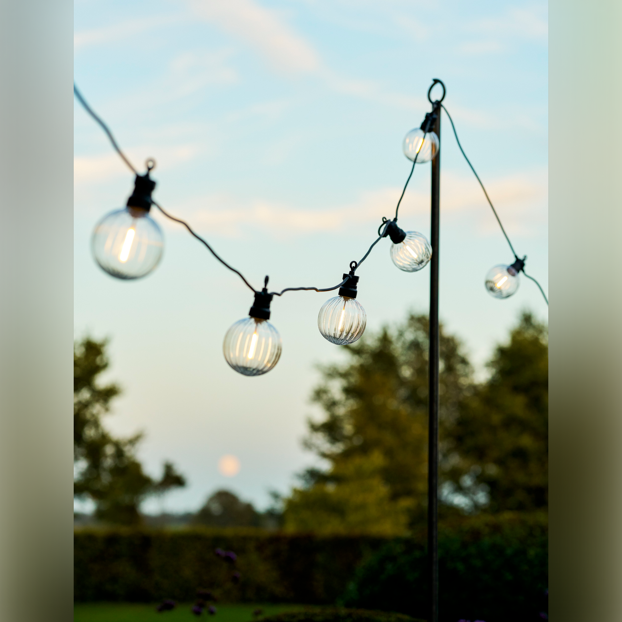 Festoon Ribbed Round Lights, 20 Bulbs – Black