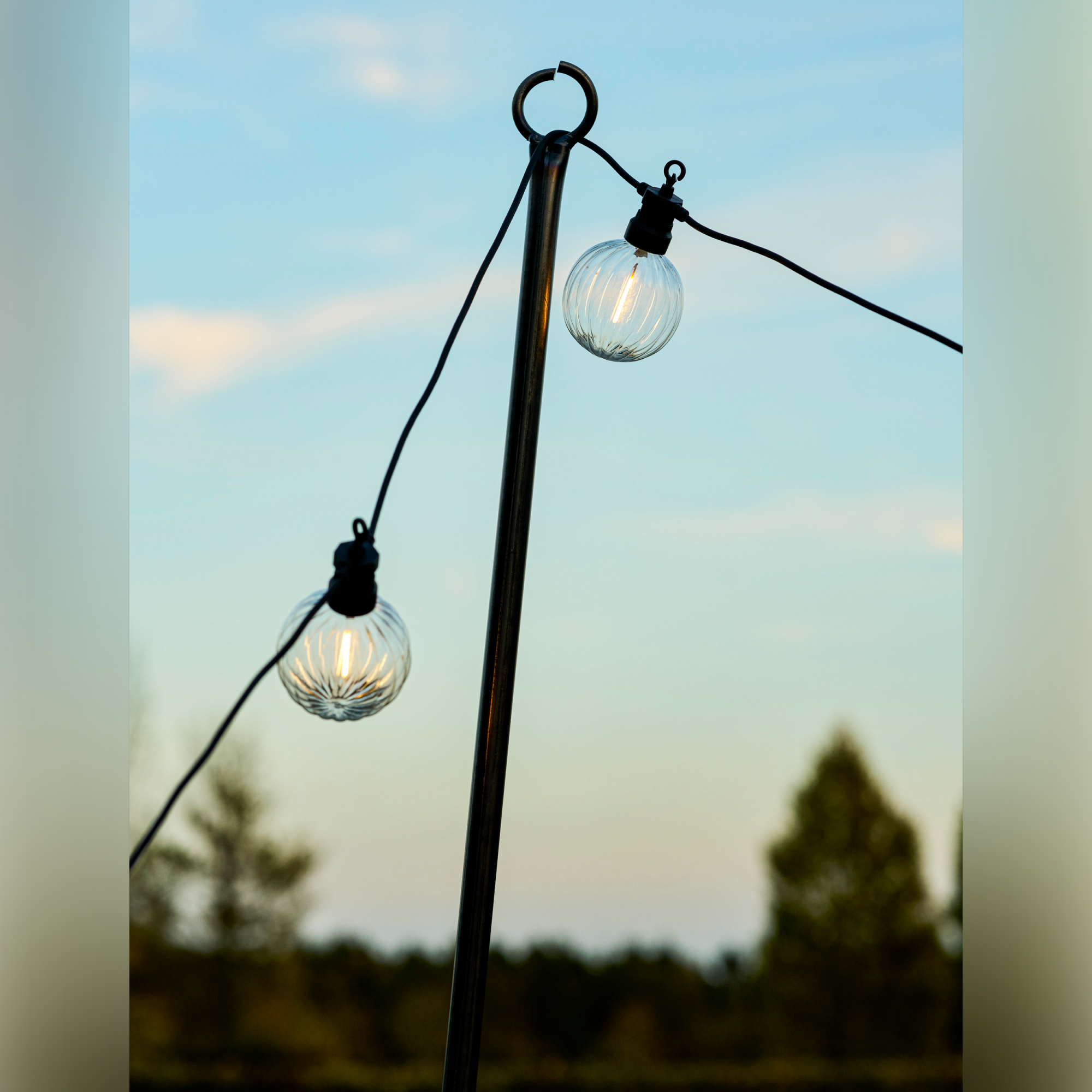 Festoon Ribbed Round Lights, 20 Bulbs – Black