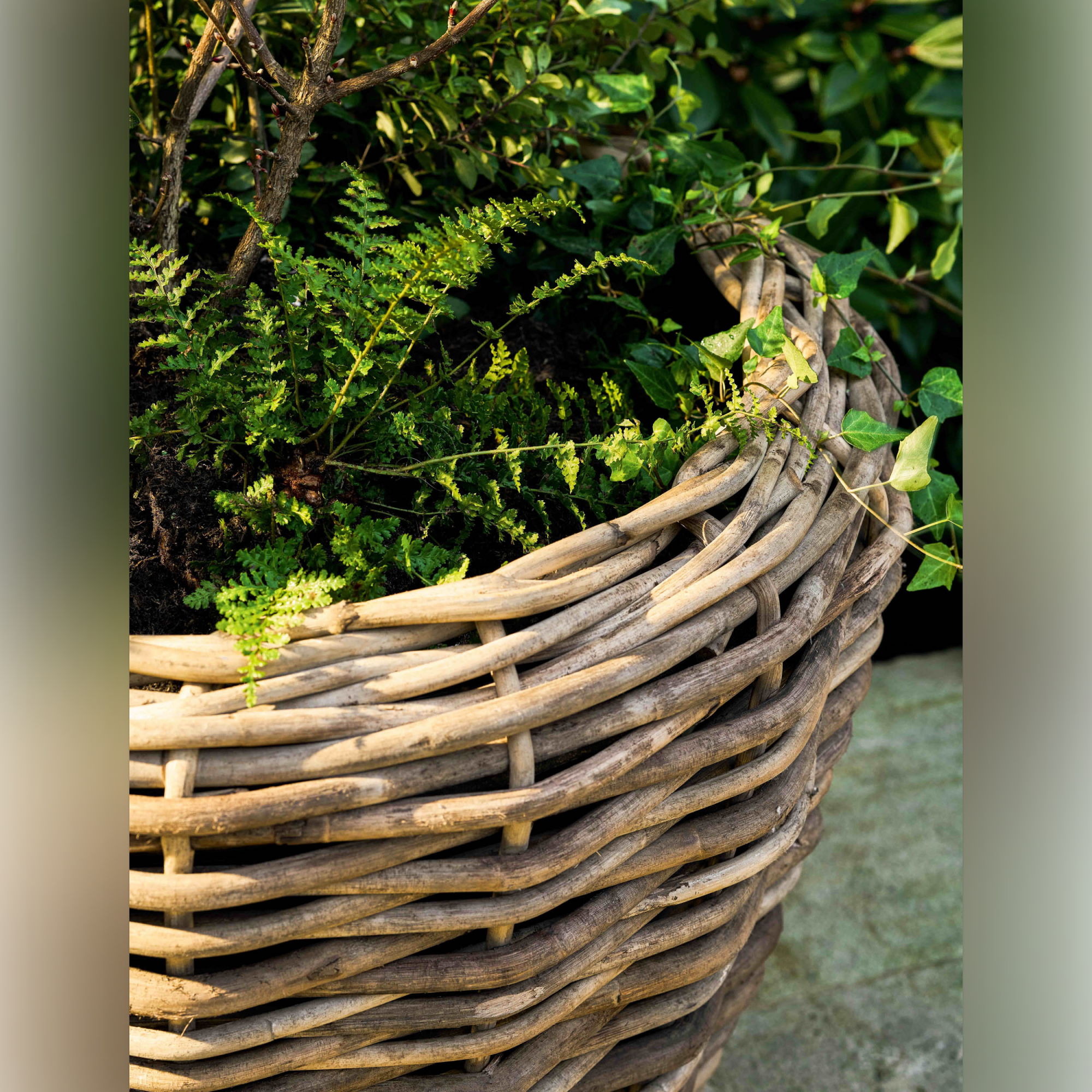Elmhurst Rattan Planter on Wheels XXL – Natural Rattan