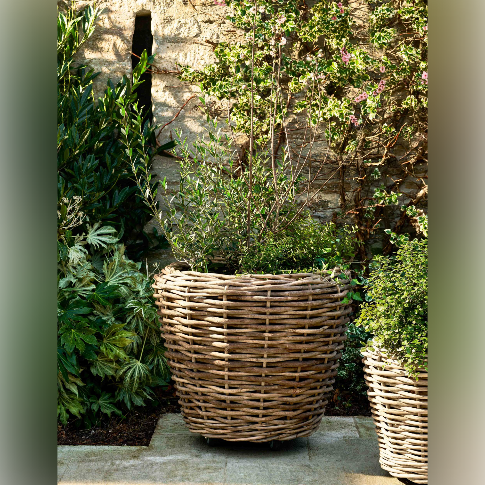Elmhurst Rattan Planter on Wheels XXL – Natural Rattan