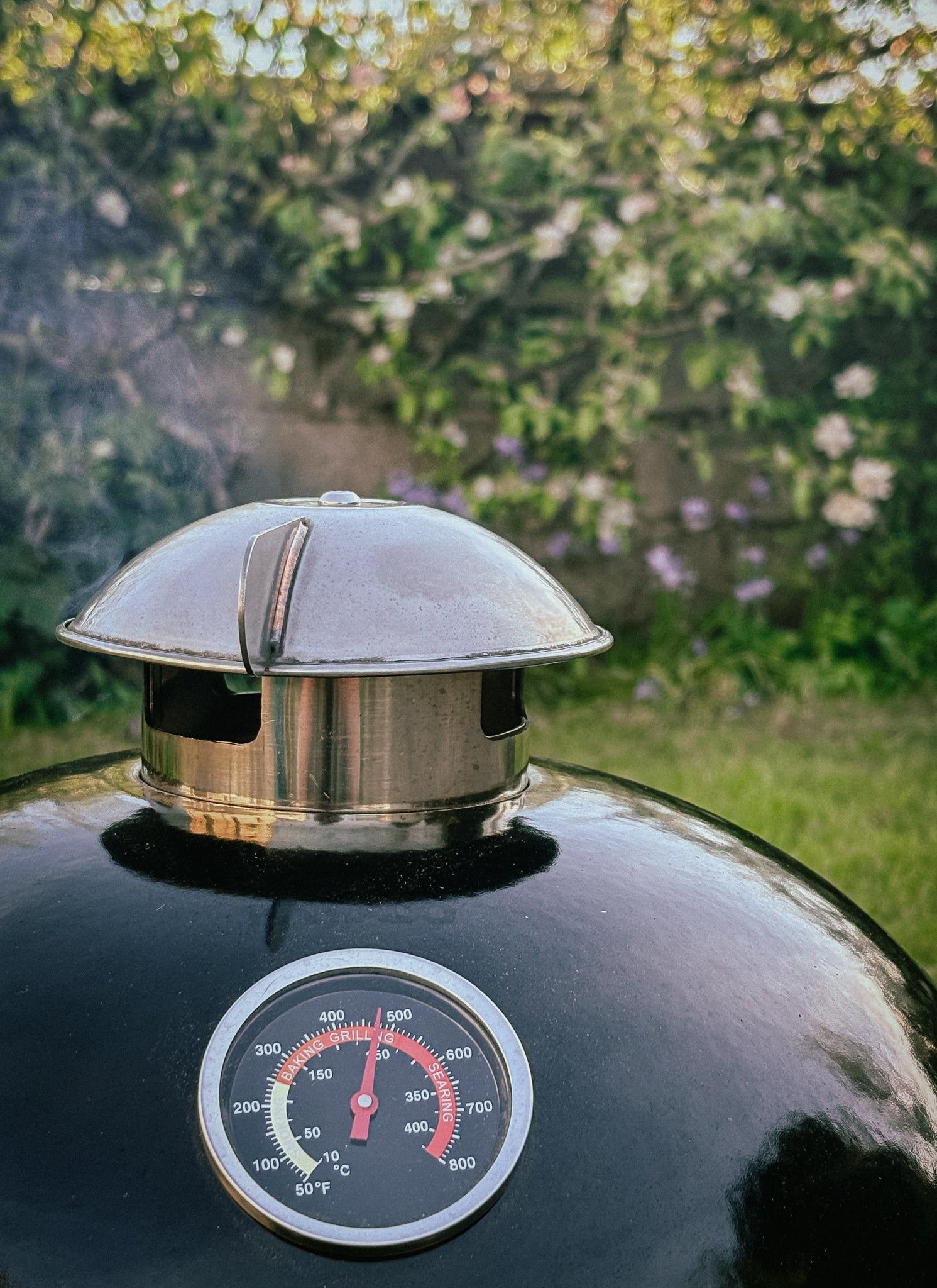 The Little Cayuga BBQ Egg – Small Ceramic Kamado Grill & Smoker
