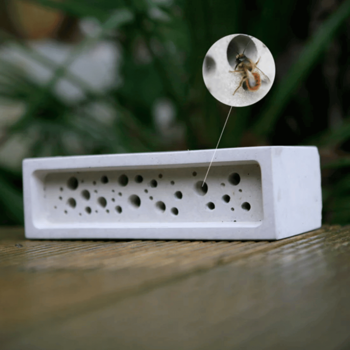 Green&Blue Bee Brick®