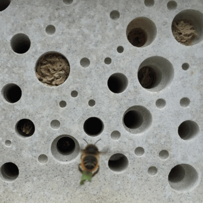 Green&Blue Bee Brick®