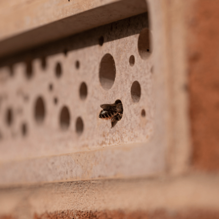 Green&Blue Bee Brick®