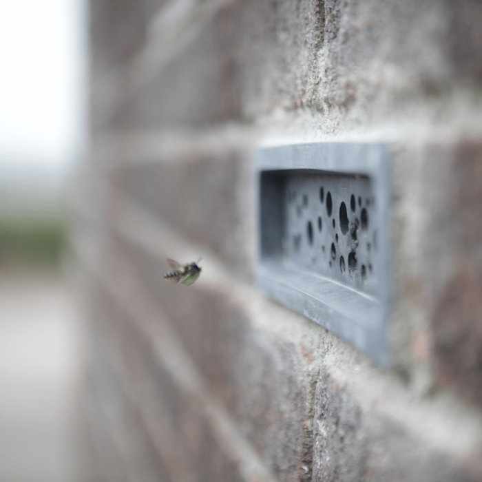 Green&Blue Bee Brick®